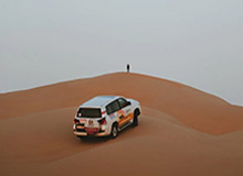 张雪之下，暗流涌动